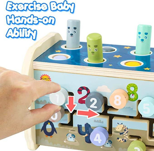 DreamBabies™ | 3 in 1 Montessori Wooden Educational Toy