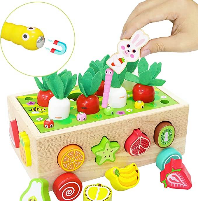 DreamBabies™ | Montessori Carrot Farm Wooden Toy