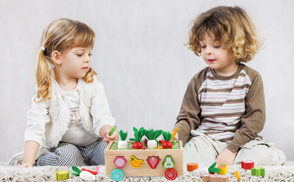 DreamBabies™ | Montessori Carrot Farm Wooden Toy