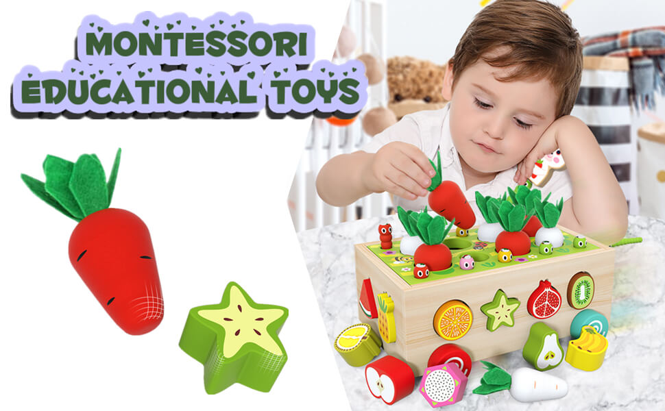DreamBabies™ | Montessori Carrot Farm Wooden Toy
