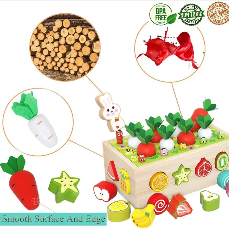 DreamBabies™ | Montessori Carrot Farm Wooden Toy
